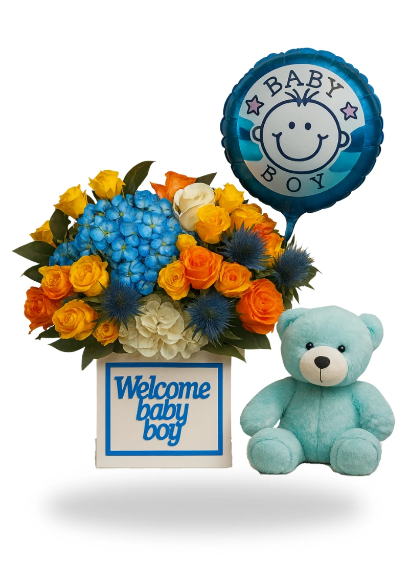 Welcome baby boy combo